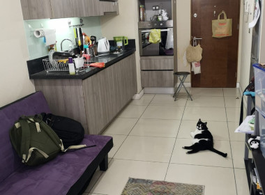 IMG-20190327-WA0028