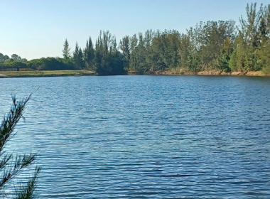 Frank Mann Preserve_1