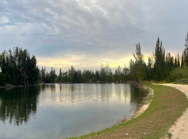 Frank Mann Preserve_10