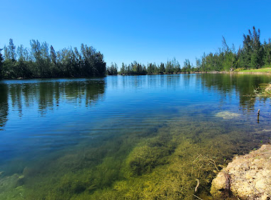 Frank Mann Preserve_3