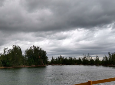 Frank Mann Preserve_4