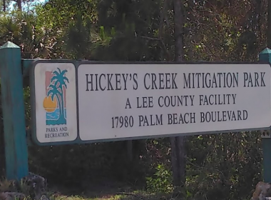 Hickey Creek Wildlife_11
