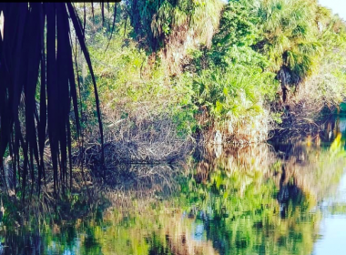 Audobon-Pennington Nature Park_3