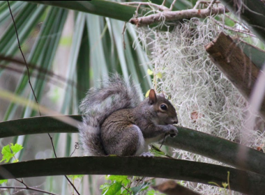 Audobon-Pennington Nature Park_6