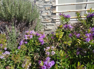 670d10ef-080b-45c7-ad14-d7747028c0e8